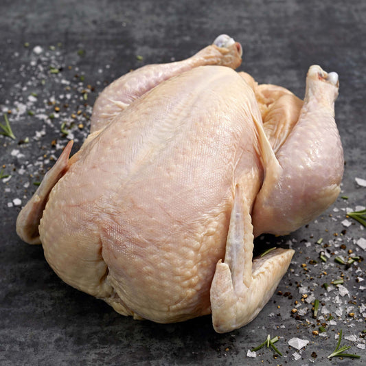Clucktastic Bundle